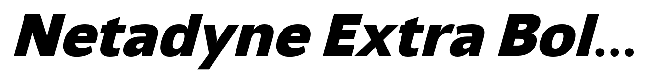 Netadyne Extra Bold Italic